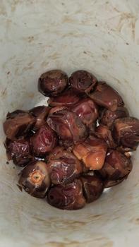 Product Review of Kurma Sukari Ember 850 gram Original Premium from h**a h**n b**n t**k 3