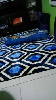 Product Review of Karpet Lantai Empuk Busa Malaysia Bahan Kain Flanel Polyester Size 140x190 (Medium) Carpet from M**n M**g 0