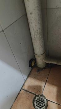 Product Review of ซื้อ 1 แถม 1 ยาฆ่าแมลงสาบ YUKANG ติดเชื่อตาย 1ตัวเป็นพิษ ตายยกรัง กำจัดแมลงสาบ ได้ผล100% ความจุใหญ่ 3ชิ้น สูตรปลอดภัย บ้านแมลงสาบ 1คืนฆ่าตายหมด เหยื่อแมลงสาบ ที่ดักแมลงสาบ กำจัดแมลงสาป ยากำจัดแมลงสาบ cockroaches killer กำจัดมแลงสาบ from ม**บ 0
