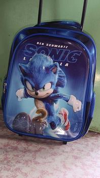 Product Review of New 16inch Built in Trolley Bagpack HighQuality from J**. 0
