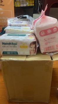 Product Review of COMBO 10 Bịch Khăn ướt Hannah Seyo XANH VIỆT (100 tờ/bịch) không hương liệu, không mùi, không cồn Voi from b**1 1