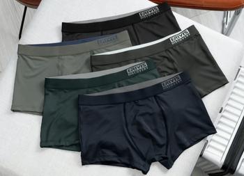 Product Review of Combo 5 Quần Boxer - 5 Quần Lót Nam Thun Lạnh Evisris fullsize 36-86kg. Menswear Sịp from H**i N**s 0