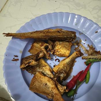 Product Review of 1Kg KHÔ CÁ ĐÙ NHỎ VỊ MẶN CÀ MAU (Khách thích ăn cá nhỏ, mặn mình ủng hộ Út nhé) from 🍻**🍻 0