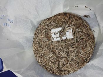 Product Review of trà phổ nhĩ sống nguyên búp from T**g T** 0