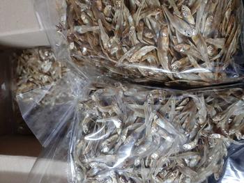 Product Review of ปลามะลิ ครึ่งกิโล ซื้อ 1 แถมฟรี 2 from บ**า เ**1 0