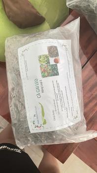 Product Review of 500g Cà Gai Leo ( Hàng Loại 1) hỗ trợ thanh lọc cơ thể ,mát gan ,giải độc from T**ý H**n 1