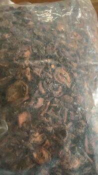 Product Review of 1 KG TÁO MÈO RỪNG TÂY BẮC KÈM ĐƯỜNG PHÈN NGÂM ĐỦ VỊ RA CỐT CHUẨN THƠM from h**8 1