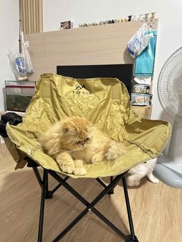 Product Review of Okay เก้าอี้กลางแจ้ง Top Sun เก้าอี้สนาม ทรงอ้วน โอบรับทุกสรีระ รับน้ำหนักได้สูงสุด 150 กิโลกรัม เก้าอี้พกพาพับได้ เก้าอี้ชายหาด เก้าอี้ปิคนิค เก้าอี้เดินป่า Camping Chair from ม**🐈 3