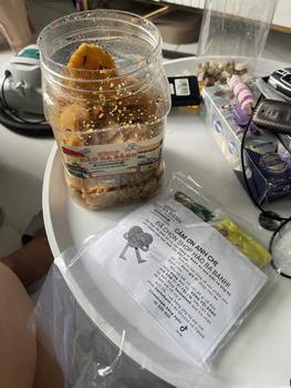 Product Review of Cơm Cháy Mắm Hành 500g thơm ngon Thức Ăn from c**a c** t**h đ** 0