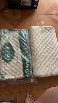 Product Review of Gối cao su non Ventry cao cấp Thái Lan 35x57x9x10 from T**m G** ** 0