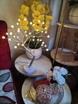 Product Review of Lampu Tidur Model Pohon Ranting Unik Colokan USB / Tenaga Baterai Dekorasi Kamar Kawat Tumblr Led/Led Tree Romantic Night Light Meja Samping Tempat Tidur Hadiah Ulang Tahun Lamp Led Plastik from L**a 0