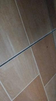 Product Review of Quần jean nữ đẹp dể thương from J** 0