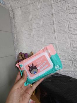 Product Review of 10pcs BELLA MISS Baby Wipes/baby hand mouth wipes (80 series) 190 grams from t**o 0
