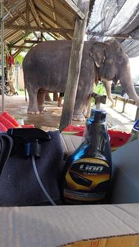 Product Review of Lion Cleans เคลือบสีรถ สูตรไฮบริดเซรามิกผสม SiO2 ขนาด 500ml ใช้กับทุกส่วนของรถ - Car รถยนต์ from ร**พ ง**ม 2