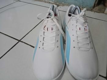 Product Review of CATOKAN SEPATU / SADDLE SHOES / SHOE TREE from G**u 0