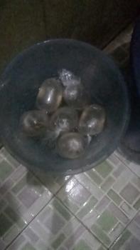 Product Review of daun ketapang from S**i 0