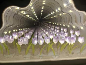 Product Review of Tulip Lamp Light DIY Cloud Tulip Night Light Led Mirror Lamp Atmosphere Material Handmade Lamp Desktop Decor Birthday Gift cloud room from j**y 0