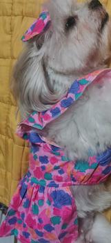 Product Review of Pet Dress Floral Pattern Pleated Hemming Windproof Pet Vest Puppy Flying Sleeve Clothes for Spring from l**0 1