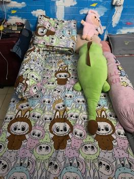Product Review of (Chăn hè) Bộ chăn hè cotton poly trần bông với 5 món đầy đủ kích thước và mẫu. from !**- 0