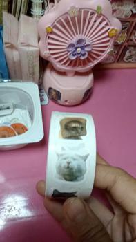 Product Review of Hình dán mèo Meme hoạt hình, 500 chiếc, Thích hợp cho phần thưởng học tập, đồ trang trí lớp học, hình dán khuyến khích, cho học sinh và giáo viên from n**n ** đ** t**g l**n g** 0