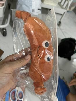 Product Review of Đồ chơi nhồi bông cho chó mèo ôm đi ngủ - Xúc xích nhồi bông cho chó mèo gặm sạch răng (PET 0069) - PetChoice from T** B** 0** 0