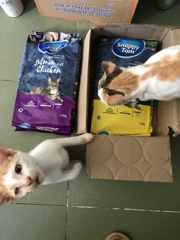 Product Review of Hạt khô cho mèo Snappy Tom 1.5kg -Oceanfish - Salom with Chicken - Tuna with Chicken & Vegetable from N** c** 1** c** b** 0