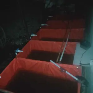 TERPAL KOLAM IKAN A10 100x50x50 100rb DAPAT 5PCS