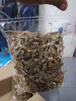 Product Review of ปลามะลิ ครึ่งกิโล ซื้อ 1 แถมฟรี 2 from တ**ူ 1