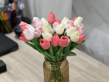 Product Review of [ 10 Bông ] Hoa Tulip Giả Decor Trang Trí Nhà Cửa Nhiều Màu Sắc 35cm - Duli.B Home from V**n B** (**) 0
