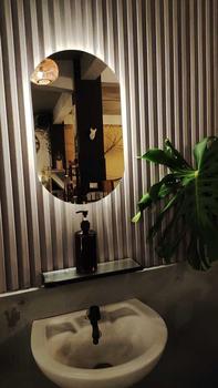 Product Review of Cermin Kapsul Led gantung 50x30cm Kaca from D**r 0