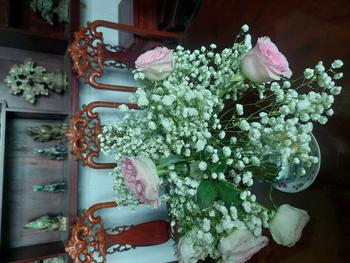 Product Review of Quần jean bass loe lỡ túi kiểu xanh nhạc from M**i 0