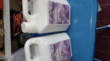 Product Review of ใหม่!MAOPROCHANG น้ำยาซักผ้า พลังช้างแกลลอน 9200มล. (4600มล.x2) กลิ่น Violet ทำความสะอาด Cleanน้ำยาซักผ้าสูตรเข้มข้น ขจัดสิ่งปนเปื้อนขั้นสุด ขจัดครา ลาเวนเดอร์ ขจัดคราบ น้ํา  ล้าง น้ํา  ปรับ from จ**ณ 3