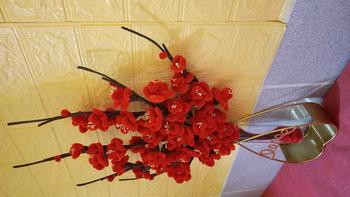 Product Review of (Mộc Khuê Decor) - Bình hoa trang trí nghệ thuật - lọ hoa thủy tinh khung sắt mạ vàng hình ngôi sao trái tim hiện đại dùng cắm hoa trang trí tiệc cưới sinh nhật tuyệt đẹp Decor, Decor Phòng bình hoa  nối liền cổ đại from K**y T**n 0