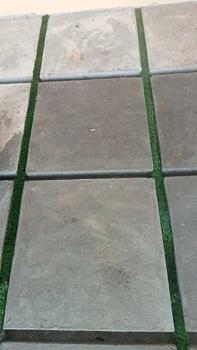 Product Review of Rumput Sintetis Swiss ukuran 2 meter x 30cm / Dekorasi Taman artifisial. Hijau from z**i u**a j**a 0