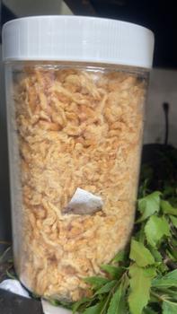 Product Review of 1Kg chà bông xù heo chuẩn vị vừa ăn, loại ngon ( vị mặn ngọt ) from D** N**n 0