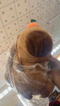Product Review of Balo Capybara Lông Xù Dễ Thương Dùng Để Đi Học,Đi Chơi Siêu Xinh,Đáng Yêu Và Có Thể Làm Gấu Ôm TUNGVU from c**3 0