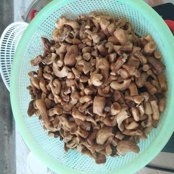Product Review of Chân Nấm Hương Khô Việt Nam túi 1kg from T**u N** H**( H**g N**g ** 1