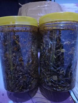 Product Review of CEMILAN EXTRIM /WALANG/BELALANG GORENG TOPLES PANJANG 210 GRAM Rendah lemak from ** 𝕻**𝖎 ** 1