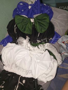 Product Review of Simple Pet Dresses and Simple Gown for Dog Cat Pets from A**y 2