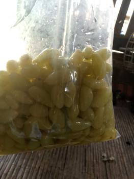 Product Review of องุ่นเม็ดเล็ก ดองเกลือ รสเปรี้ยวเค็ม แซ่บๆ from ห**ย 0