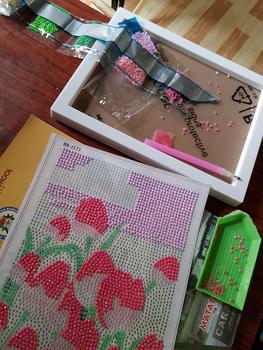 Product Review of DIY Tulip Flower Diamond Painting With Frame Tabletop Decor Educational Toy or Holiday birthday/Valentine's Day gift from h**l 0