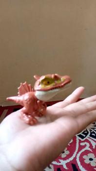 Product Review of Mainan Anak Dinosaur Infested Mini Dinosaurus Gigit Dino Animal Figur Lucu Kado Plastik Toys Hewan Binatang from F**h ** N**g 0