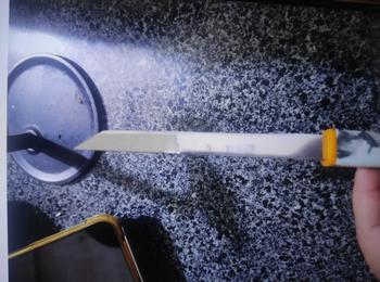 Product Review of Dao Bếp Tanto Mini Nhật Bản Gọt Hoa Quả, Thái Sashimi Lưỡi Thép Không Gỉ dài 20cm dao  sashimi  dao gọt hoa quả dao nhà bếp from l**n 1