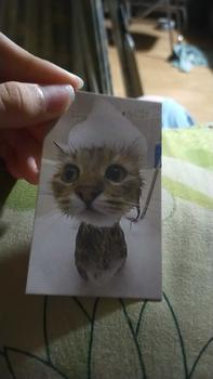 Product Review of [Card des] card unoff Blackpink có mã Qr nhạc from 🎀**a H** ** 1