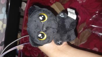 Product Review of [ENH] Unoff Enhypen Doll Plushie Jay Jake Heeseung Niki Jungwon Sunoo Sunghoon Boneka karakter Toys from ** ** ** ** ** 1
