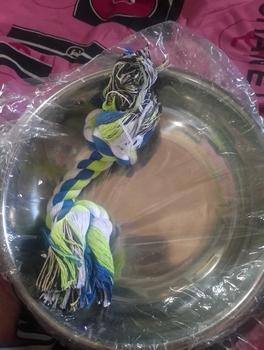 Product Review of Pet Cat Dog Non-slip Thickened Stainless Steel Bowl from K**t j**n j**p 0