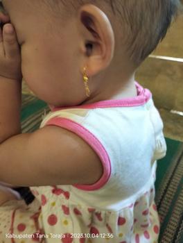 Product Review of Anting Desi Emas Muda Bandul Labu Susun Tiga 1 Gram from m**g 1