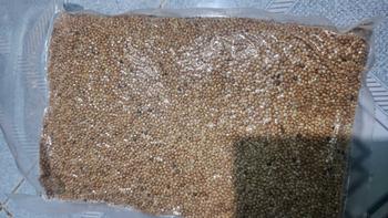 Product Review of Hạt kê  1KG cho  cảnh, Vẹt,  Yến Phụng,  cu gáy, Hamster và các dòng  sẻ cỏ  thái cỏ  thái   chim   trứng   chim   con cào  cào tổ  cho sparrow  bird food hạt  d10   chao   kích hạt  tiểu  vĩ dưỡng from 𝐋** 𝐓** 𝐋** 3