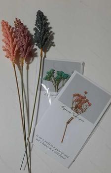 Product Review of Dried Flower Blessing Card for Mother's Day Gift Birthday Business Thank-you Greeting Cards from 2**2 1