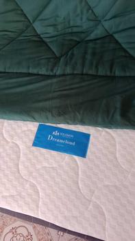 Product Review of SOLOMON ที่นอนสปริงอัจฉริยะ รุ่น Pyla Plus (พายล่า พลัส) from j**a s**w 1